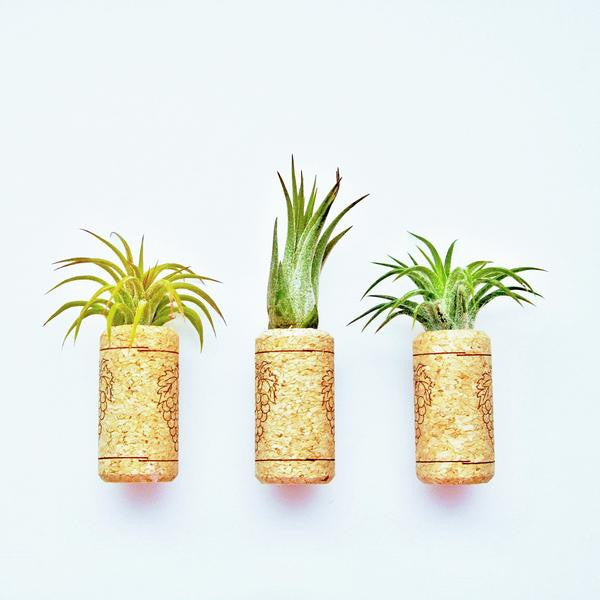 Wine Cork Magnet